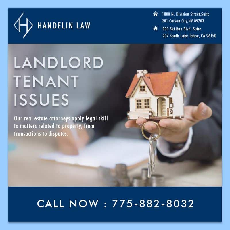 Law landlord estate real tenant lawyer legal information article