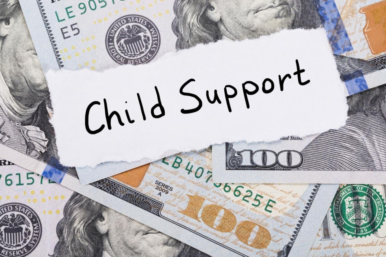 Nj child support portal