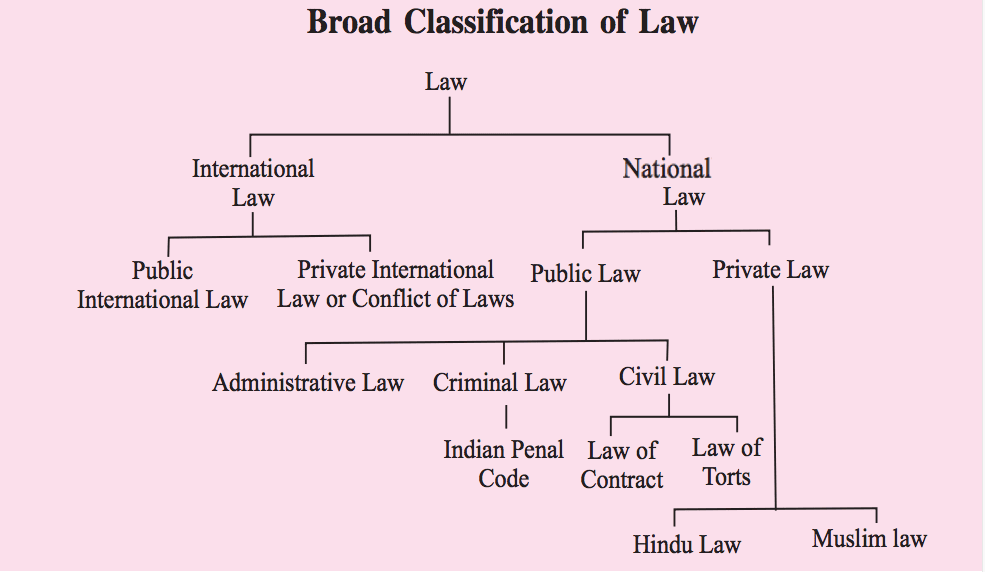 What are the different legal specialties