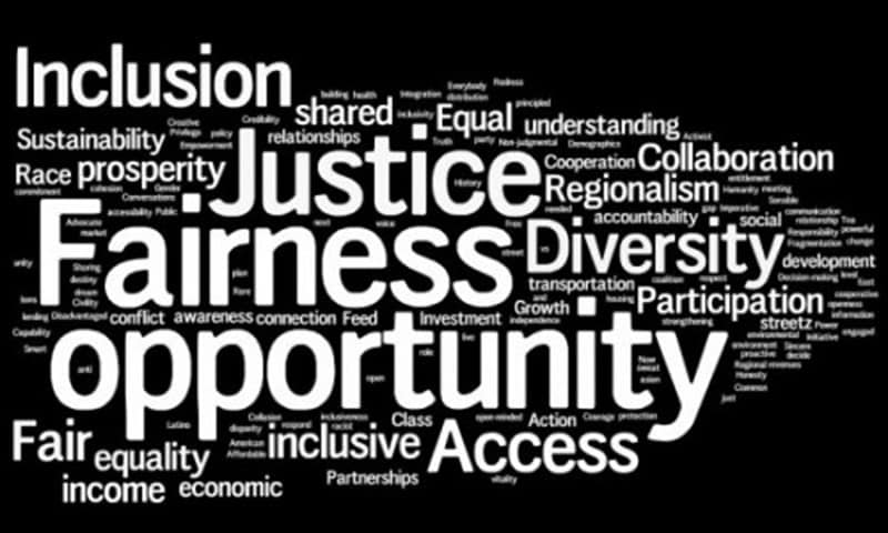 Pro bono legal work for social justice issues