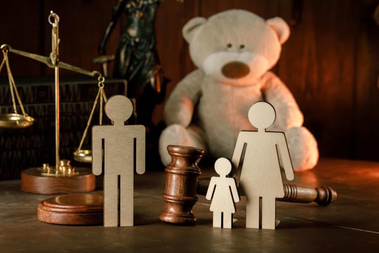 What are the different types of family law cases?