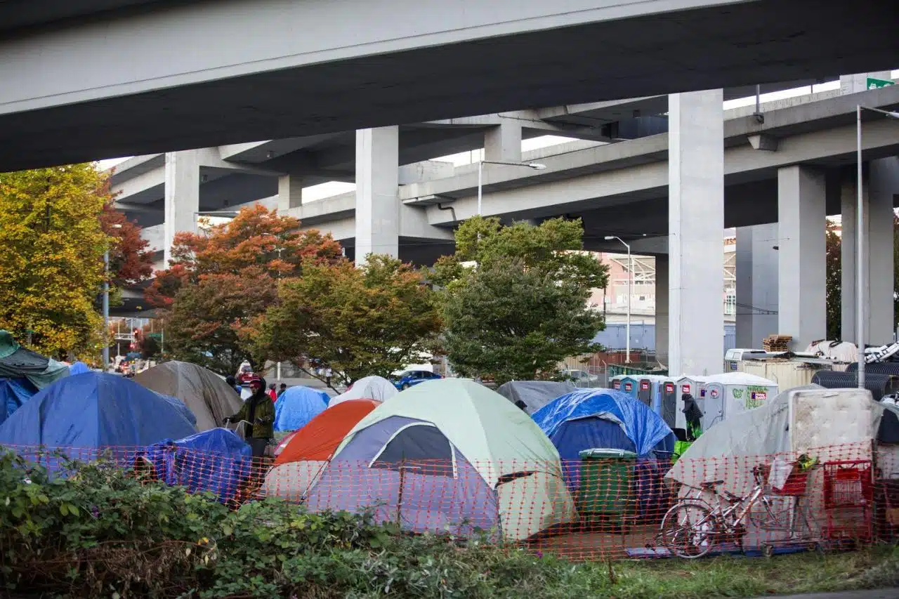 Free legal aid for environmental issues in Washington