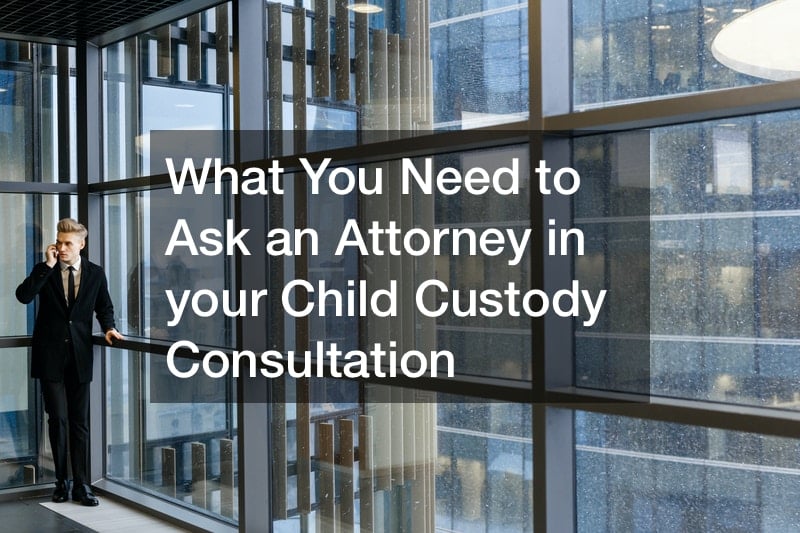 Custody child consultation nashville initial