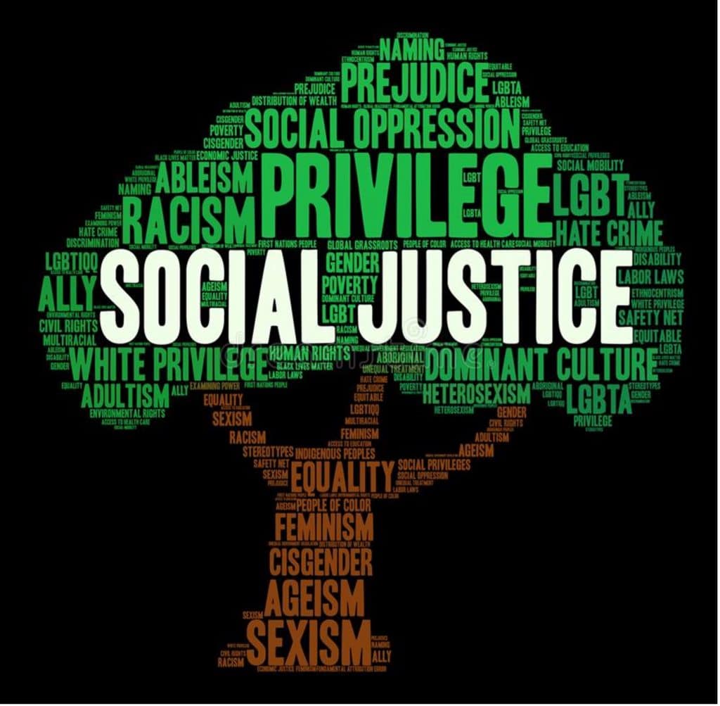 Pro bono legal work for social justice issues