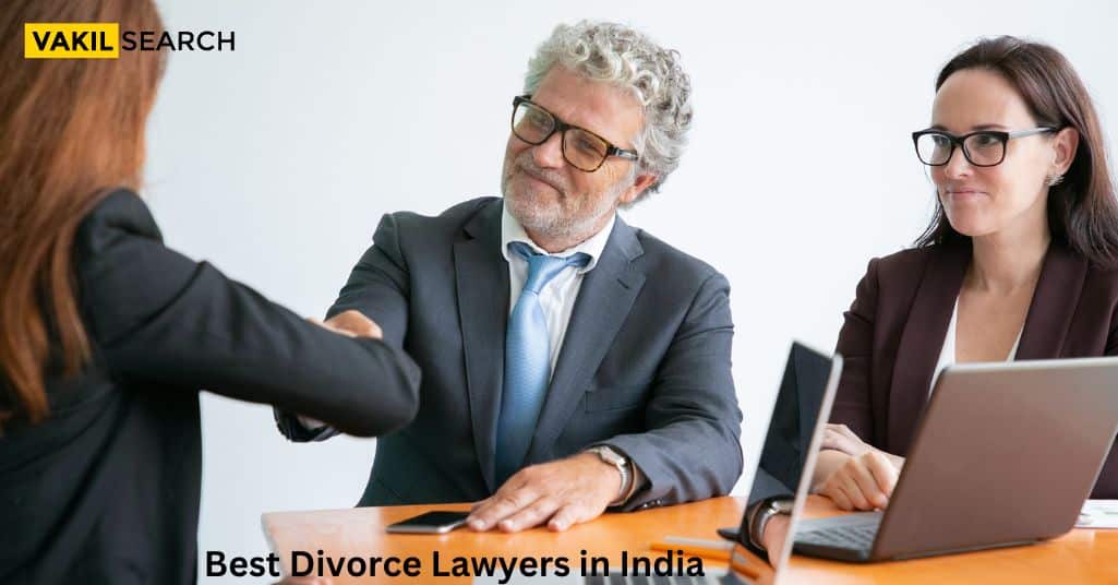 Best divorce lawyers in Michigan