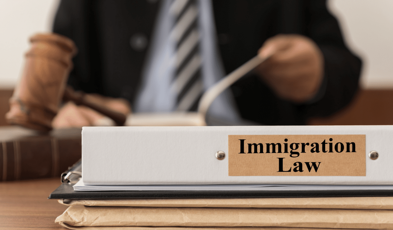 What are the common immigration issues that online immigration lawyers handle