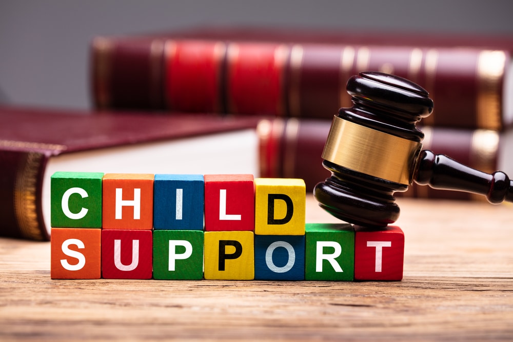 Can I get free legal help for a child support case?