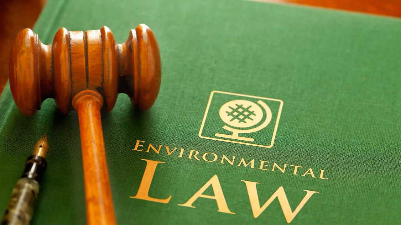 New Orleans Attorneys Directory for Environmental Law