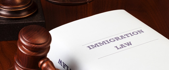 Immigration law assistance for asylum seekers