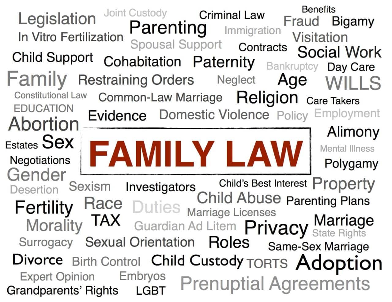 What are the legal services for family law matters?