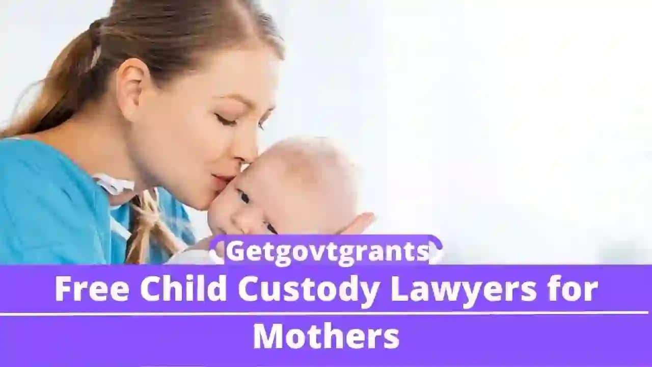 Pro bono child custody lawyers in [State name]