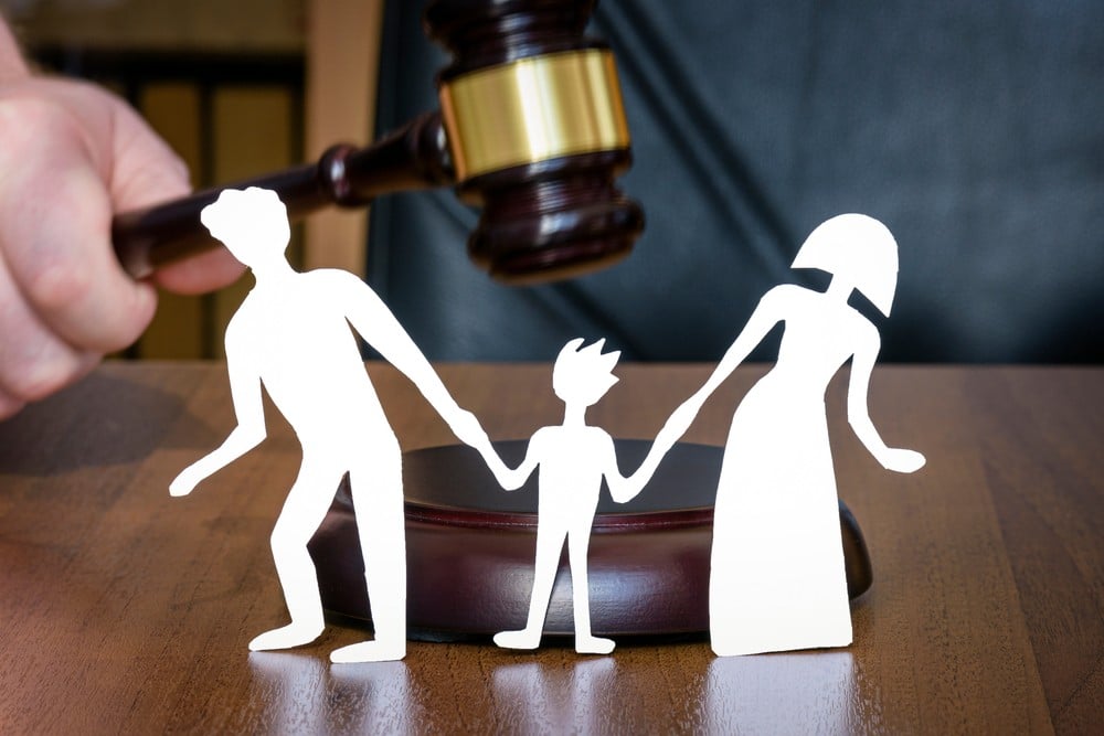 Child custody legal aid programs