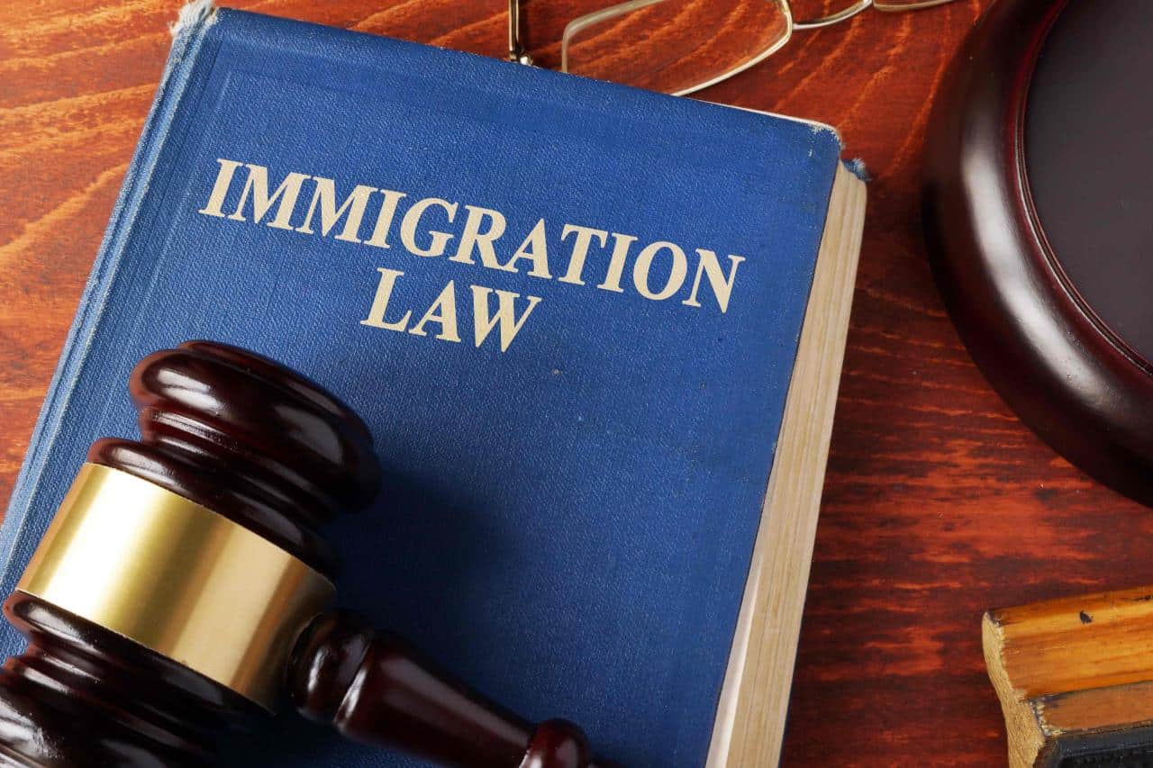 Pro Bono Immigration Lawyers