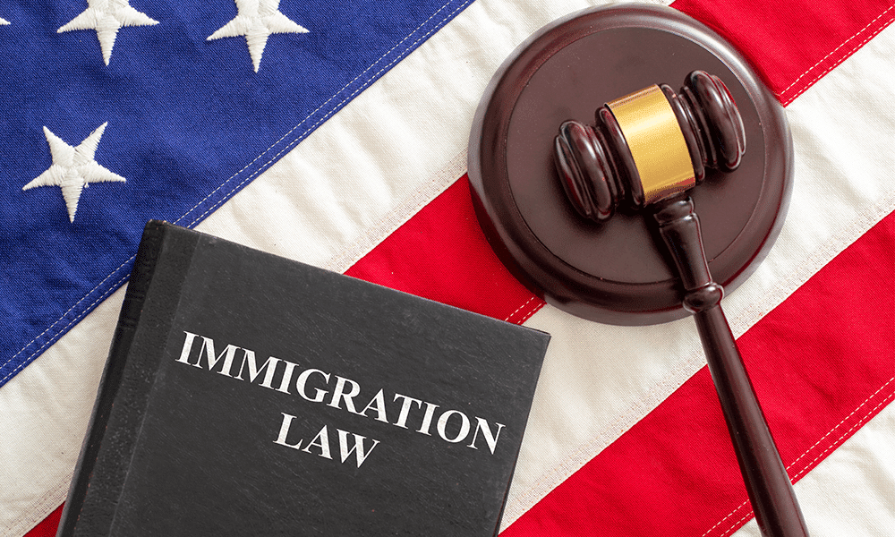 What legal services are available for immigration cases?