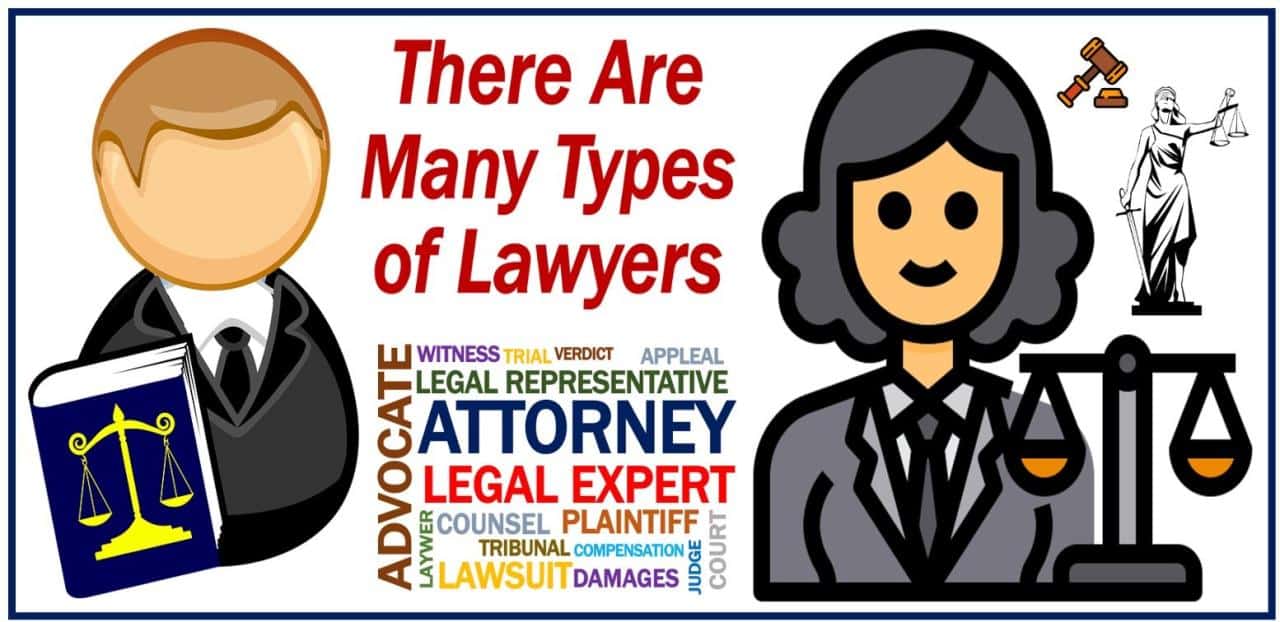 What are the different types of legal consultants