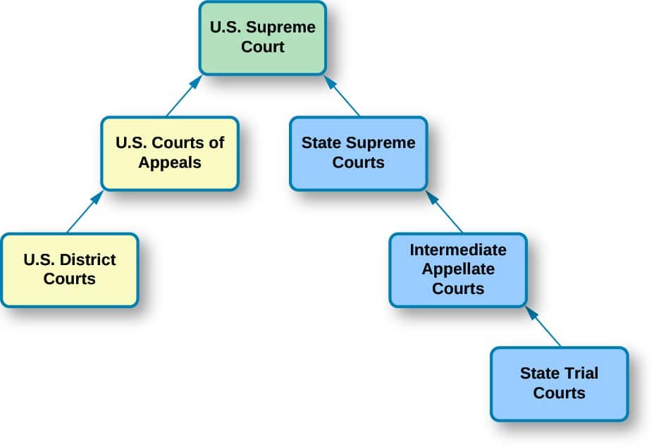 Trial Court Meaning