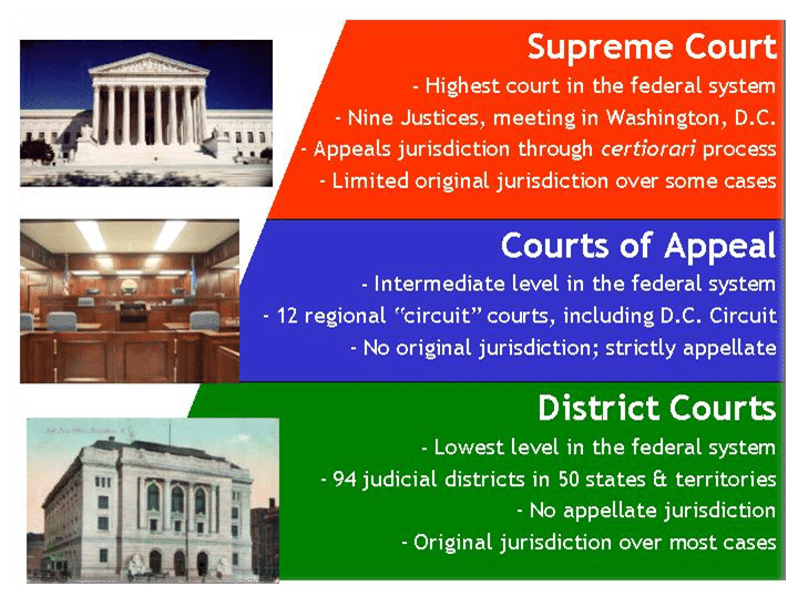 Trial Court Meaning