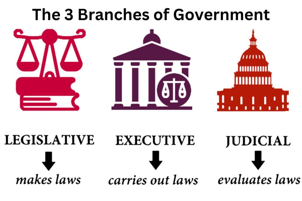 What are the responsibilities of a government advocate?