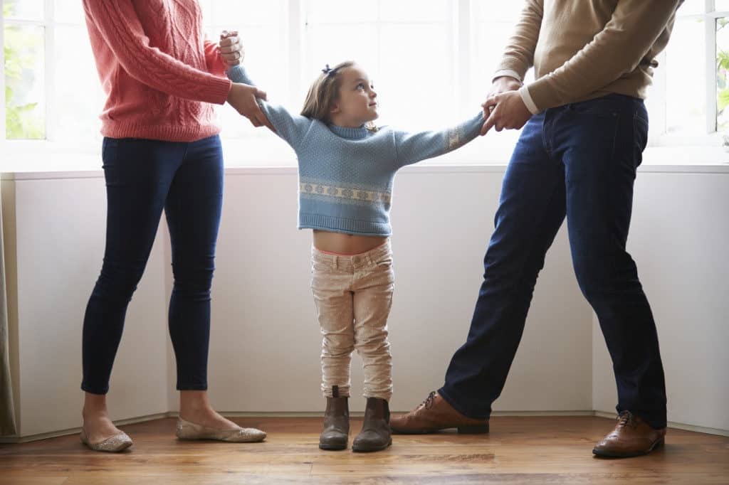 Government programs providing free legal help for child custody