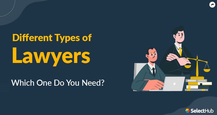 What are the different types of case lawyers?