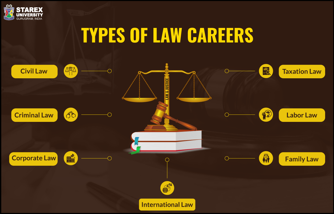 What are the career paths for government advocates?