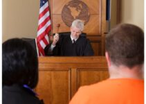 What Is A Prosecutor And Defendant: Roles In The Legal System