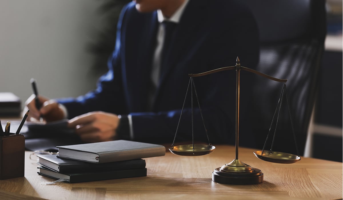 Immigration consultant vs lawyer: which one should I choose?