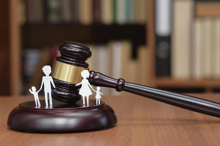 What are the common mistakes people make in family law cases?