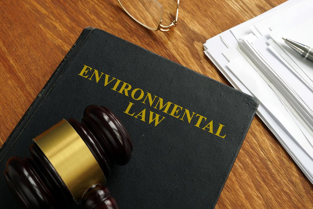 New Orleans Attorneys Directory for Environmental Law