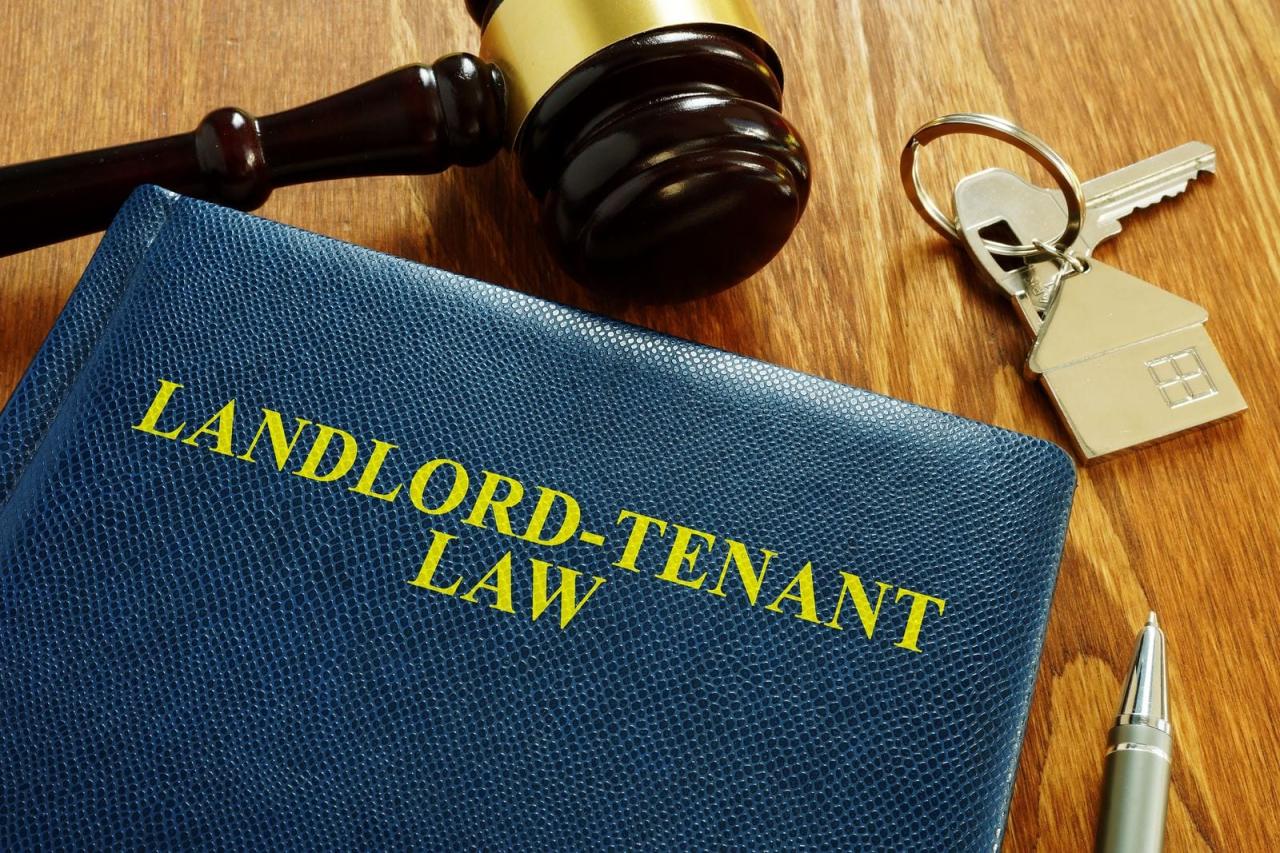 Tenant rights and legal assistance for low-income renters