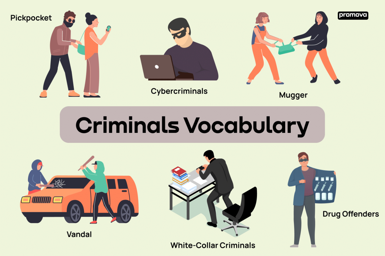 What are the common types of criminal cases?