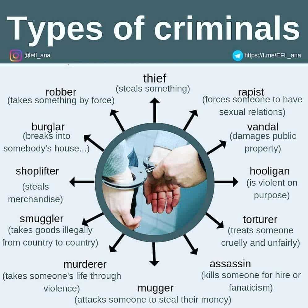 What are the different types of criminal sentences?