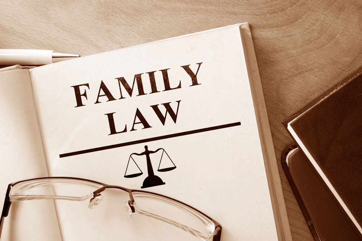 Can pro bono family law attorneys help with child support issues?