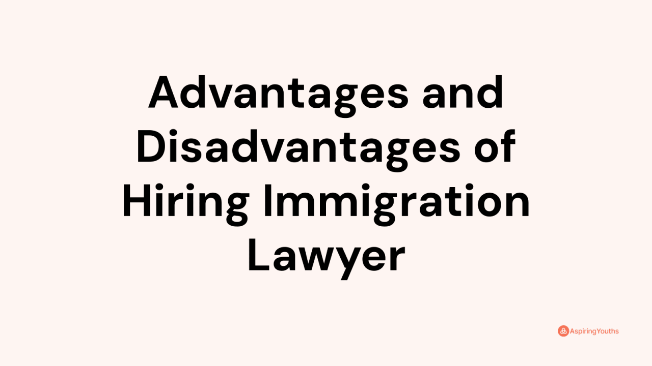 What are the benefits of consulting with an immigration lawyer?