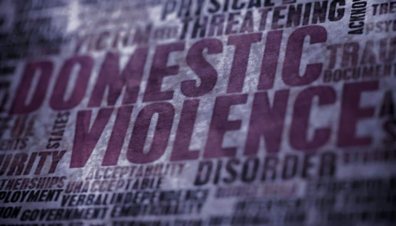 What are the legal options for a person accused of domestic violence in Michigan?