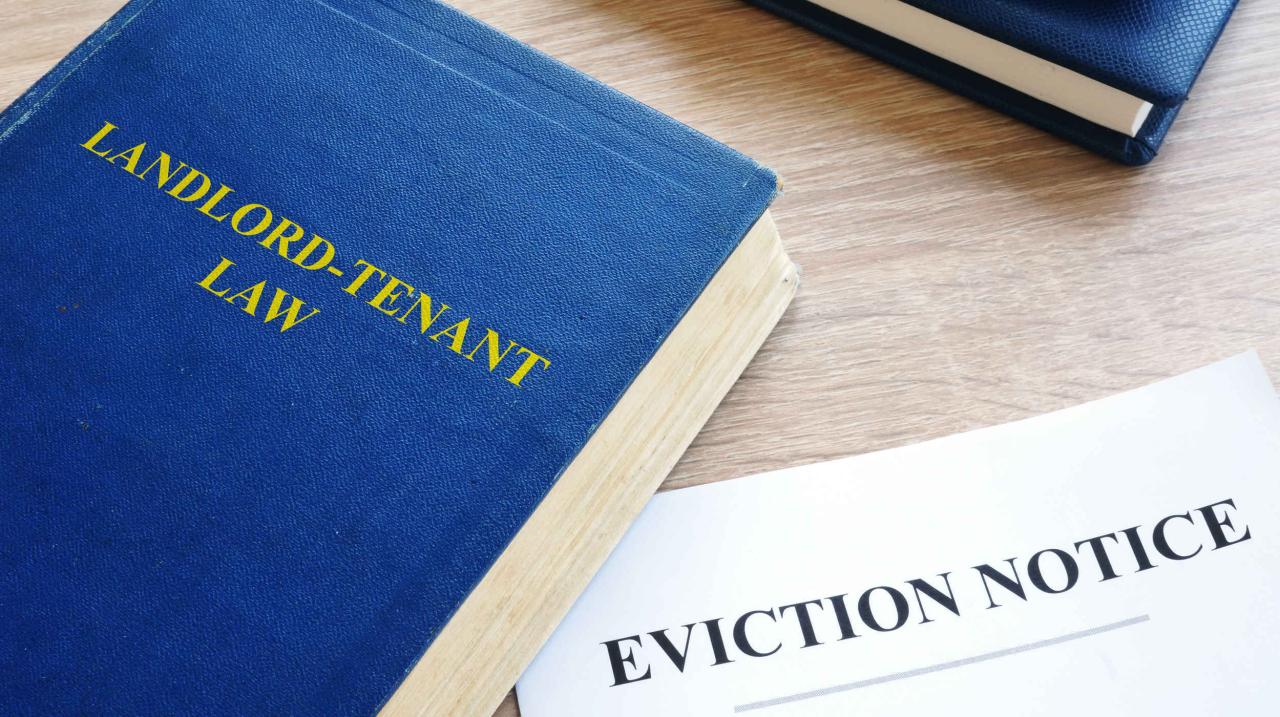 Where can I find free legal help for eviction in New York