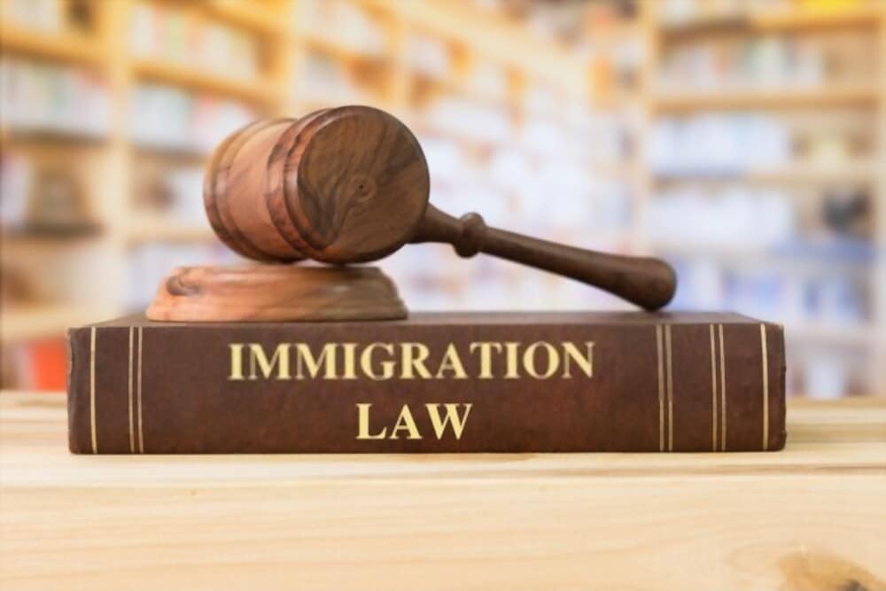 Can an online immigration lawyer help me with my citizenship application