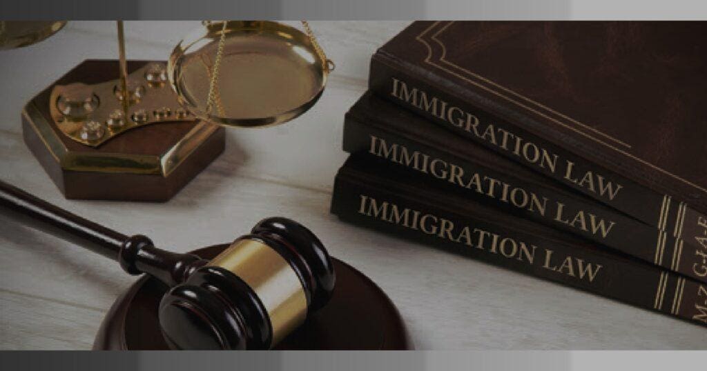 Legal assistance for immigration appeals and lawsuits