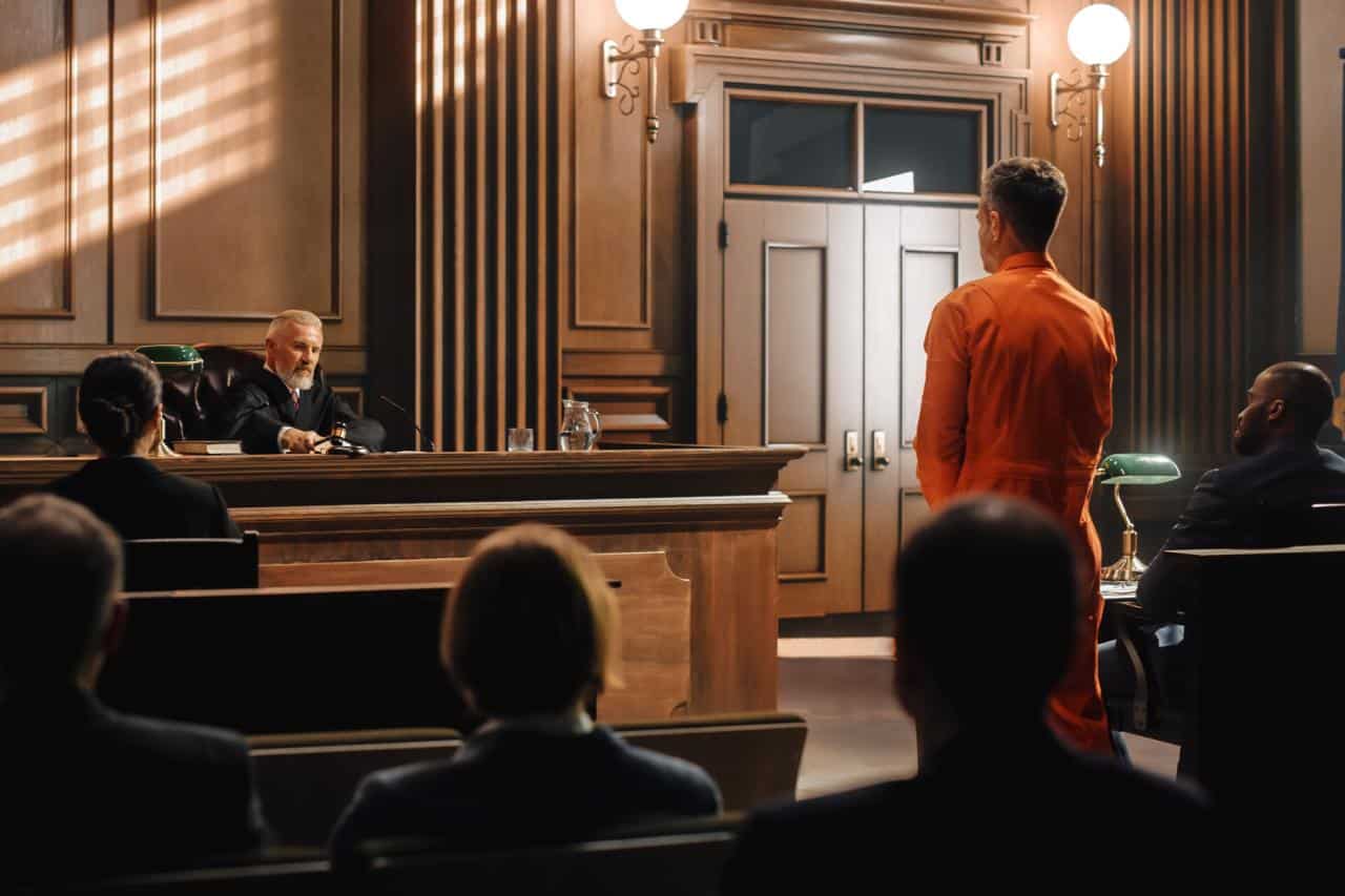 What are the rights of a defendant in a criminal case