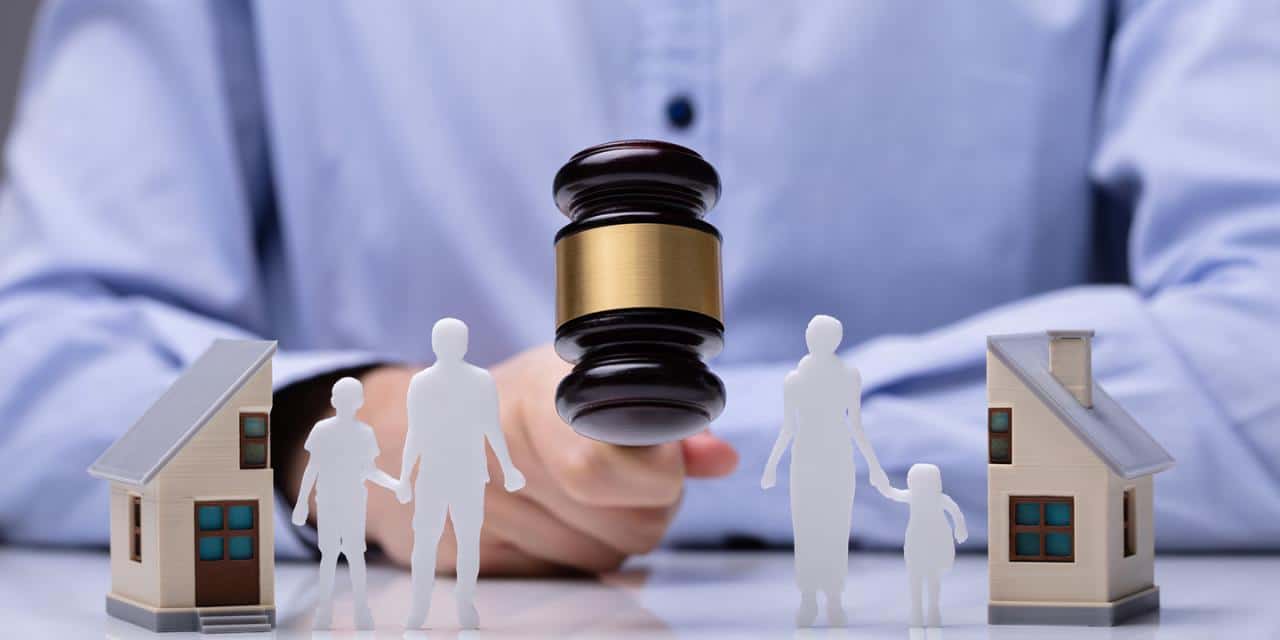 What are the legal services for family law matters?