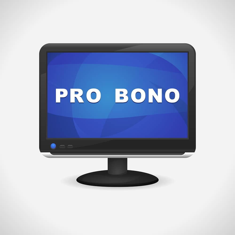 Bono pro work program