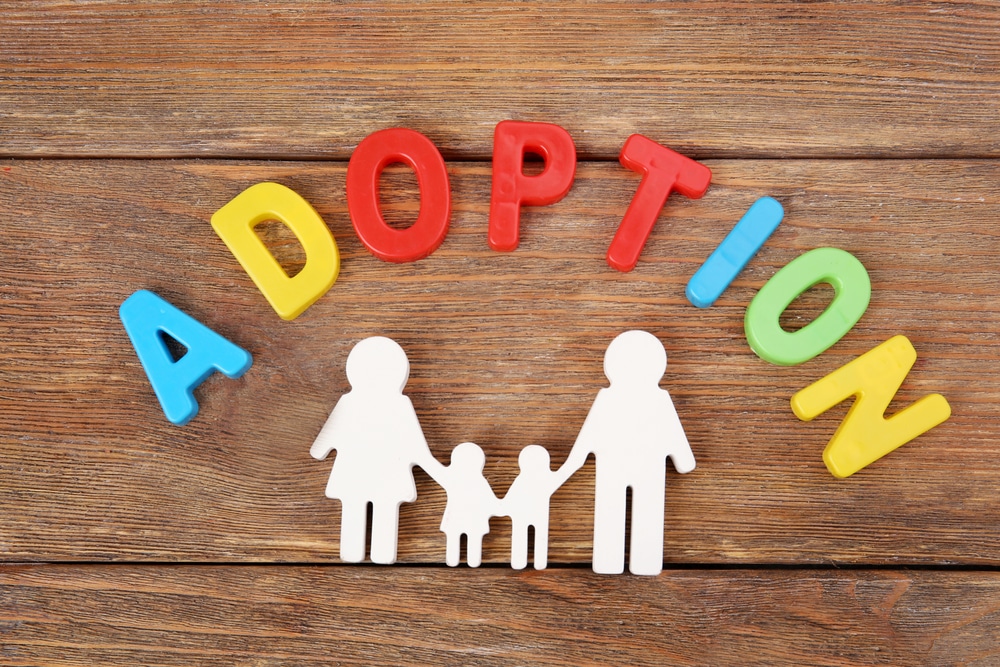 Legal aid for family court cases involving adoption