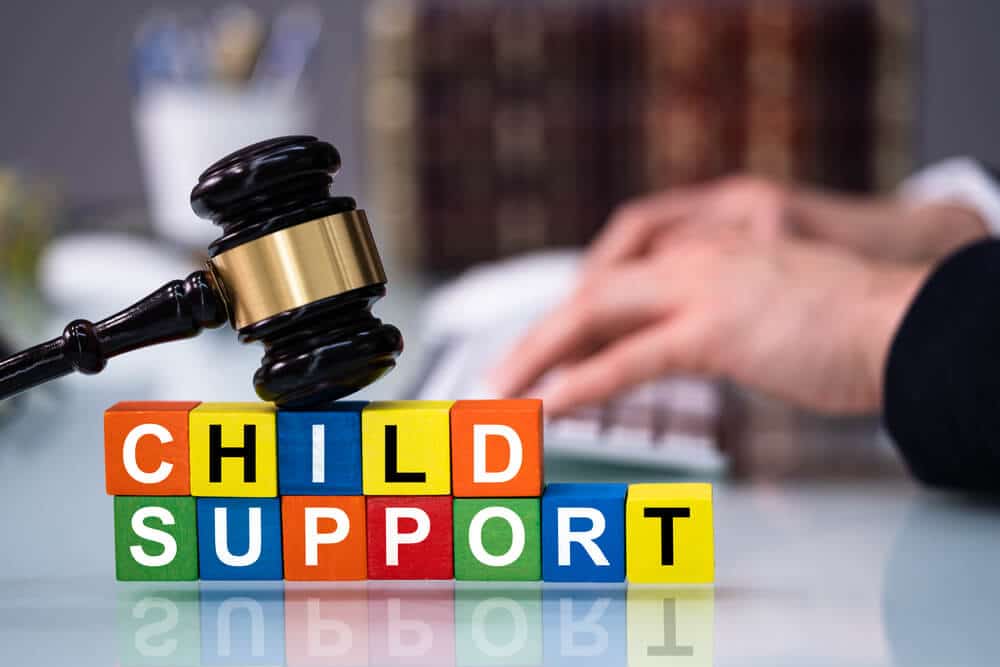 Missouri legal aid organizations for child custody cases