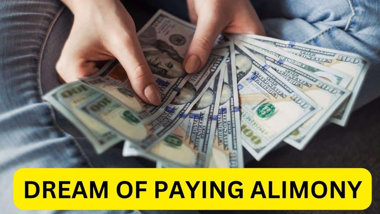 How much alimony can I expect to pay or receive