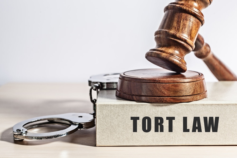 Tort torts